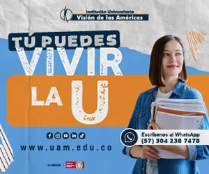 INSTITUCIÓN UNIVERSITARIA VISIÓN DE LAS AMERICAS